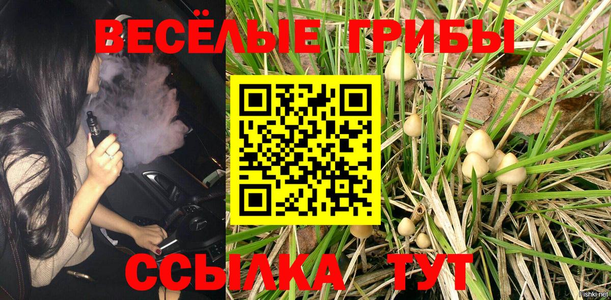 Галлюциногенные грибы GOLDEN TEACHER  Вход с VPN  Арзамас  Псилоцибиновые грибы ЛСД 