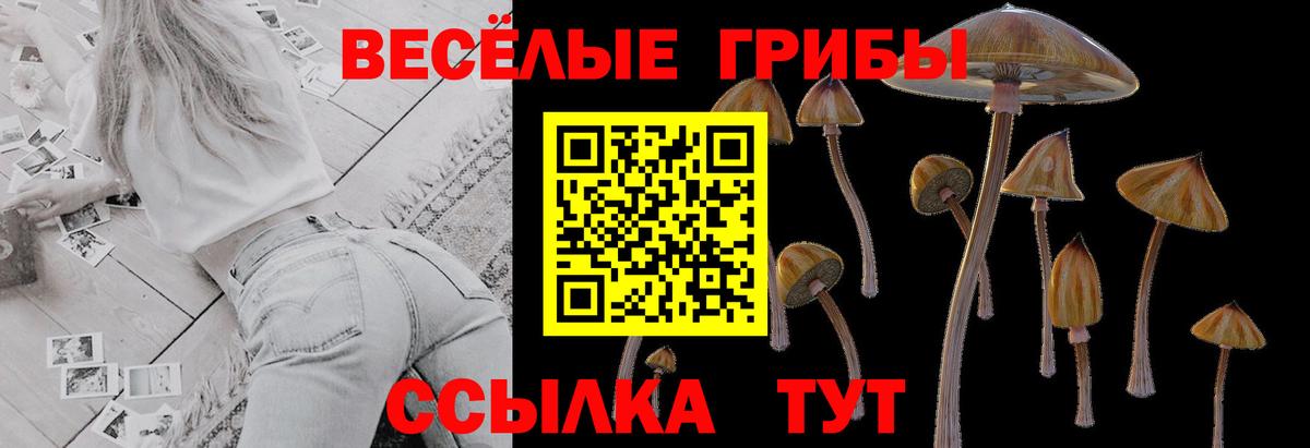 Псилоцибиновые грибы мухоморы Арзамас