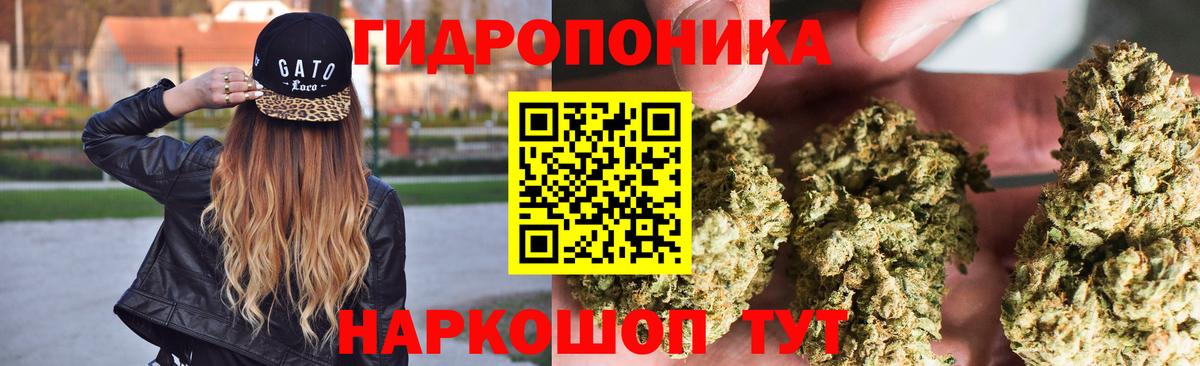 Бошки Шишки OG Kush  Шишки марихуана планчик  Шишки марихуана план  Арзамас  Вход с VPN 